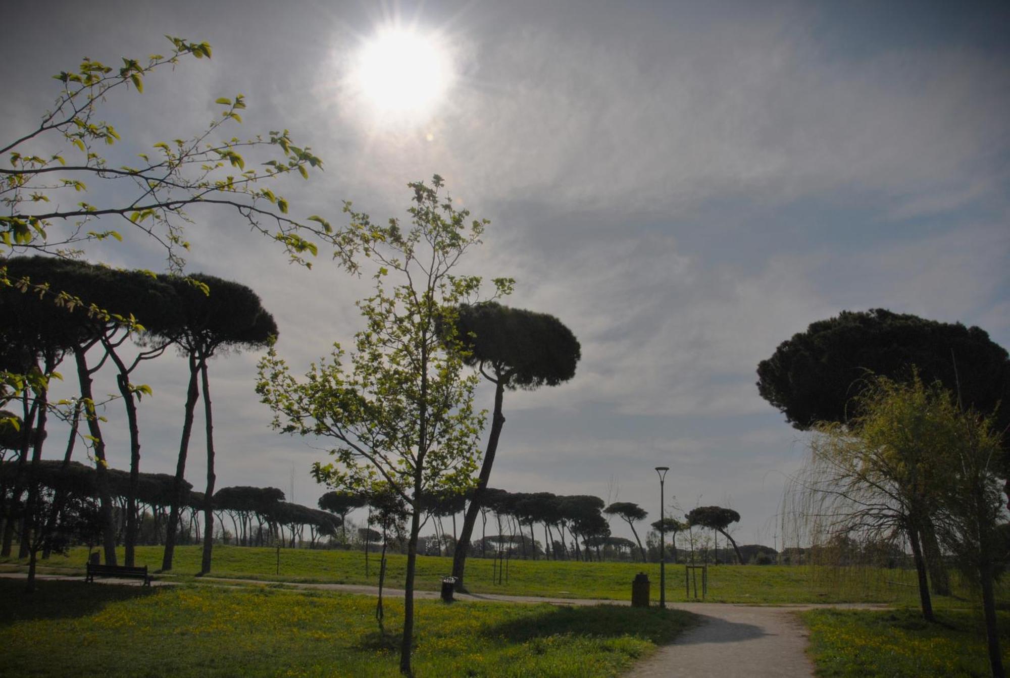Alloggio Di Giorgia Fiumicino Luaran gambar